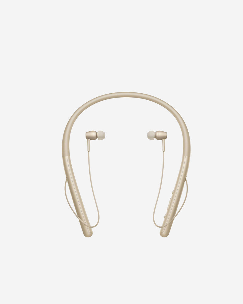 h.ear in 2 Wireless